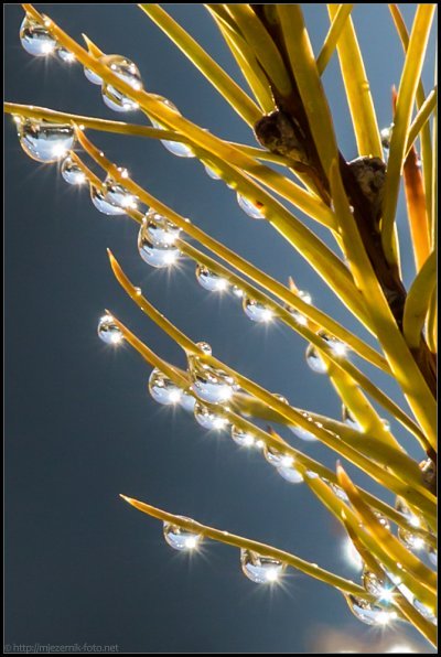 405x599xIMG_9869-as-Smart-Object-1.jpg.pagespeed.ic.9rkL0tJQ2u