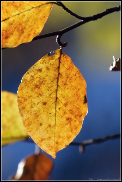 405x600xIMG_0161-as-Smart-Object-1_m.jpg.pagespeed.ic.0fF0LFAXV4