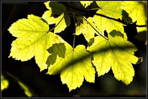 997x669xIMG_0164-as-Smart-Object-1_m.jpg.pagespeed.ic.GrUhwRlXCc