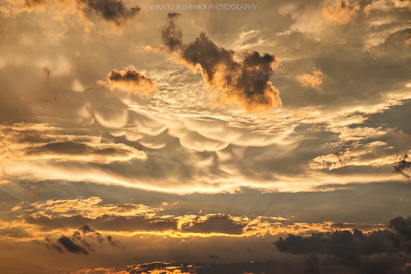 Evening mammatus clouds